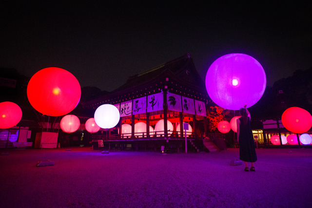 「呼應的樹木們 - 下鴨神社」