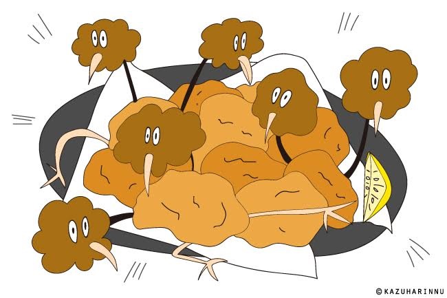 dodo4