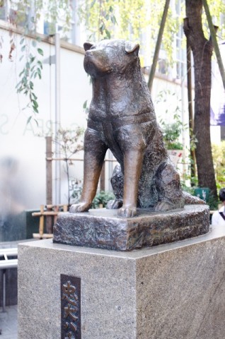 你知道嗎?澀谷地標「忠犬八公」左耳下垂的理由