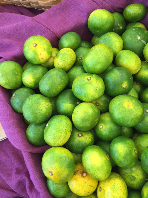 Citron et Citron_極早生蜜柑