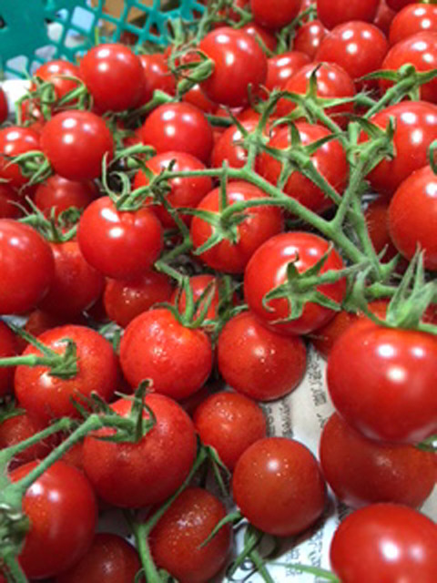 Marche de fruit_Carol 10（小番茄）