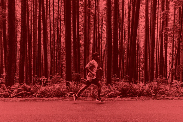 「PureBOOST ZX PK Livestock」(1萬8,000日圓)