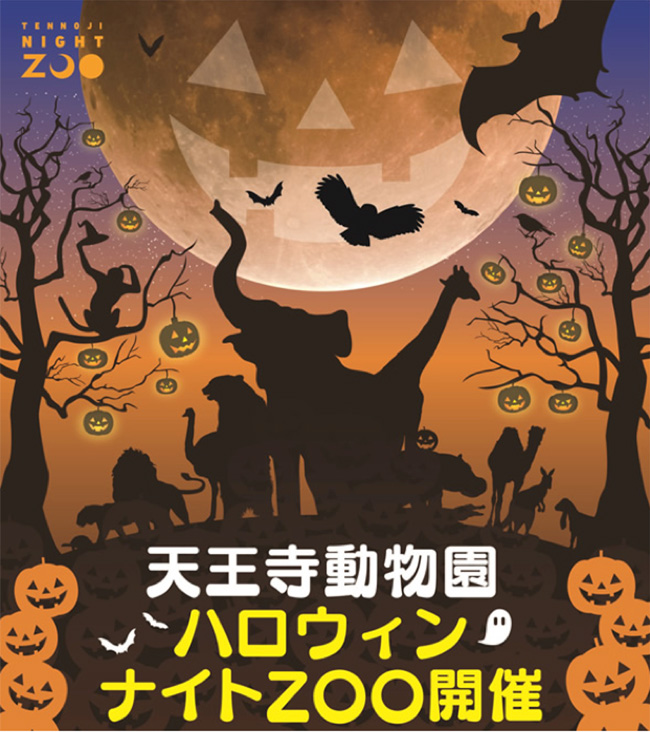大阪天王寺動物園,開放夜間參觀,歡慶萬聖節活動登場!