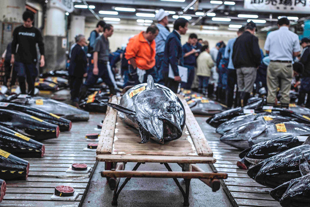 人氣壽司店主廚大力推薦 造訪築地前必看《築地市場:和食之心》 10月28日美味上映