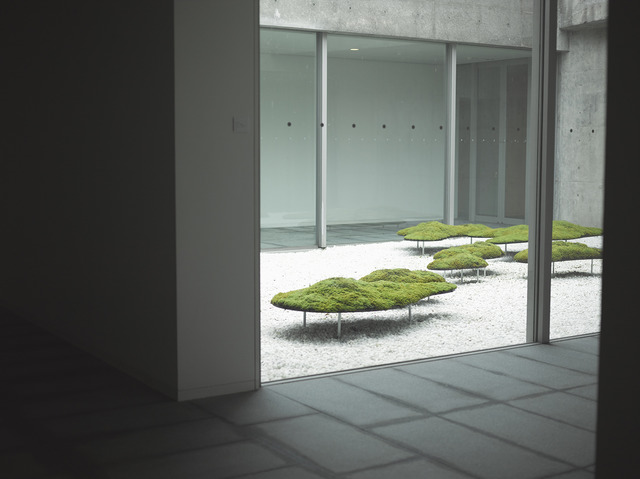 若手庭師による苔のインスタレーション