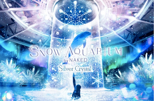 水族館竟然下雪了?與海豚一起見證:銀與藍晶海洋水晶世界