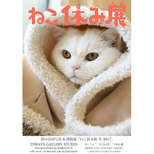 猫奴们看过来!日本举办超级愈疗猫咪展,连周边都超可爱