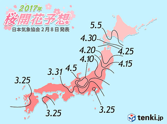 準備好最新日本櫻花美景了嗎?告訴你日本各地開花預測!