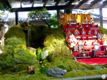 延續百年傳統，宮崎綾町特有的「綾雛山祭」華麗登場！