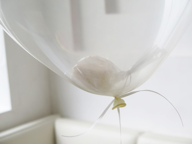 「Zero Gravity Cake(飛天蛋糕)」(1,000日圓)