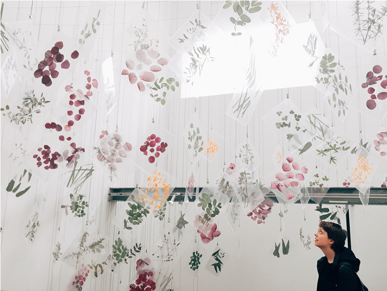 五官齊享花草茶「Have a Herbal Harvest」