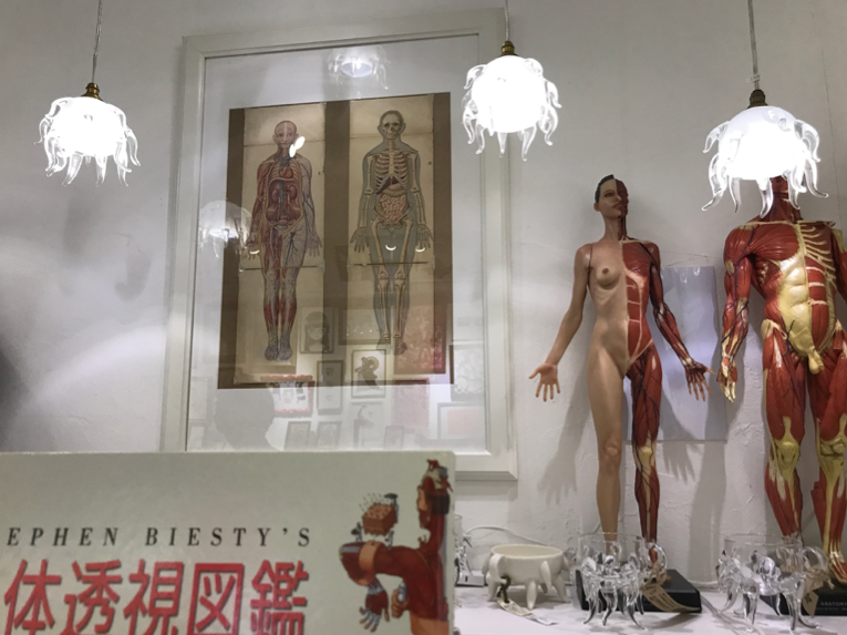 充满诡谲怪奇的异想咖啡厅:福冈天神「不思议博物馆分室Sanatorium」