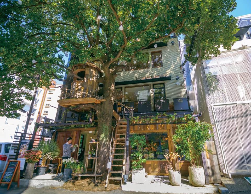 Les Grands Arbres 整體樹屋外觀