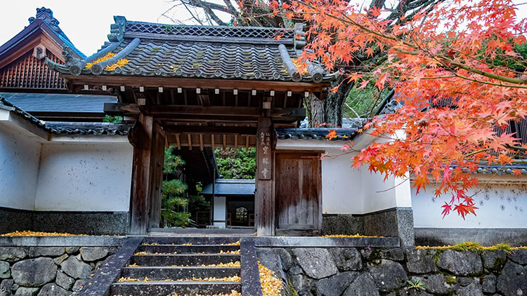 日本京都龜岡地區寶林寺的紅葉
