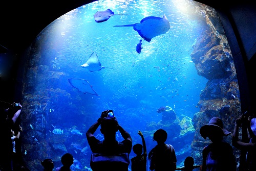 京都水族館