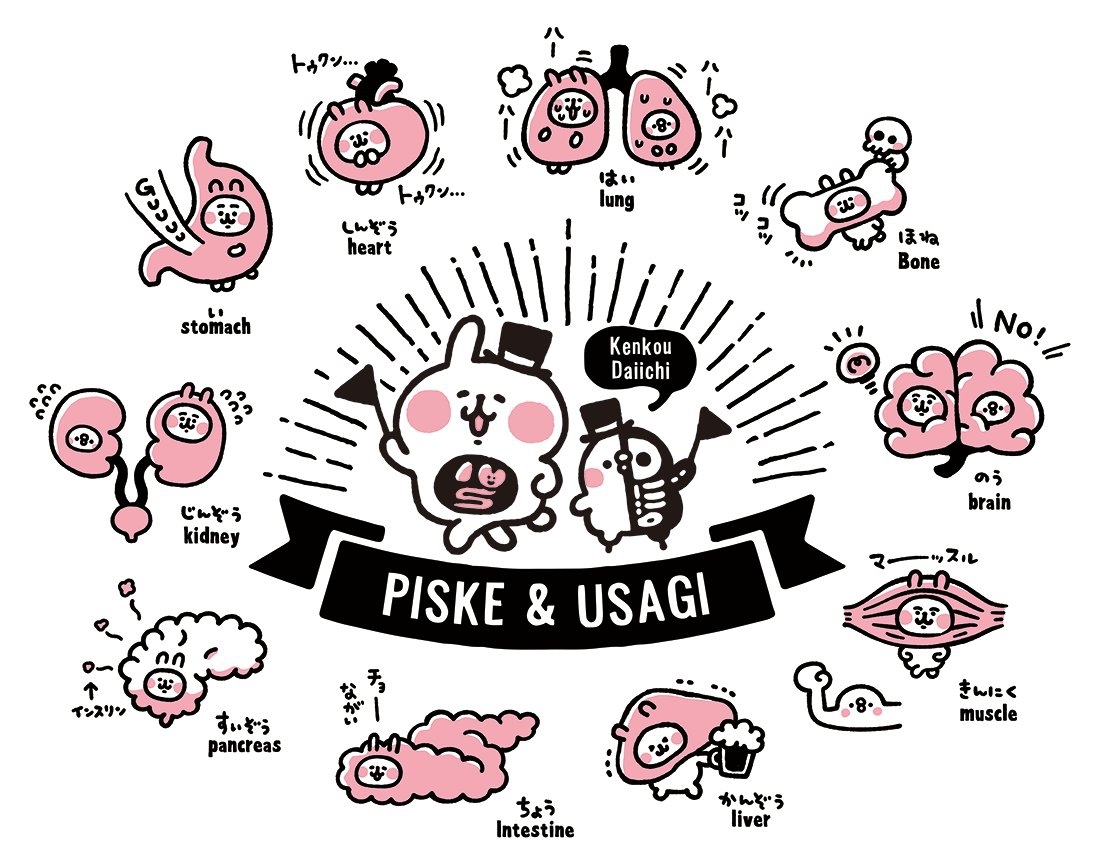 這個人體展最可愛! 東京上野國立科學博物館人體展也有卡娜赫拉