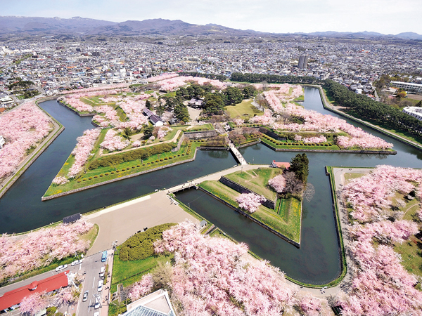 五稜郭公園之櫻