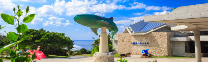 沖繩美麗海水族館