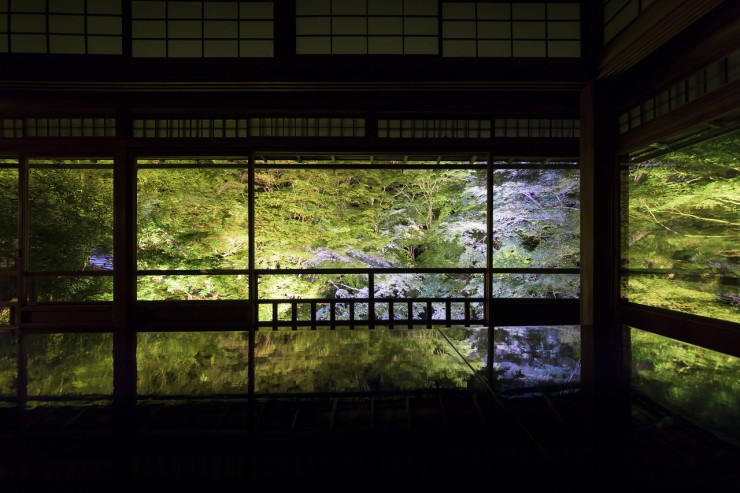 京都瑠璃光院2018年首次舉辦綠葉燈海,好夢幻!夜間特別參拜報導