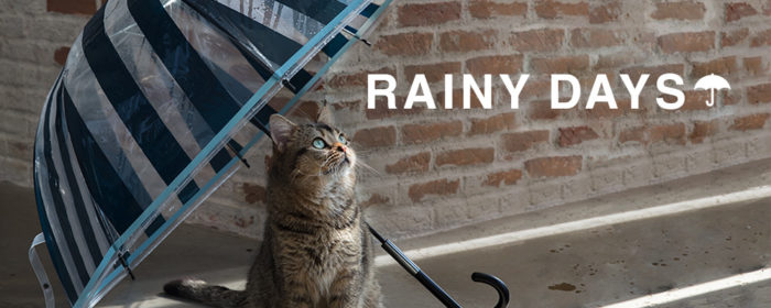 Francfranc雨具介紹雨傘雨衣雨天用品