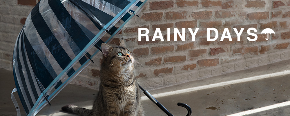 Francfranc特輯陪你渡過梅雨季,還有退稅資訊一次報你知!