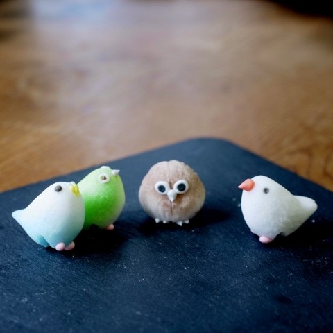 糖鳥杯緣子站立在桌上
