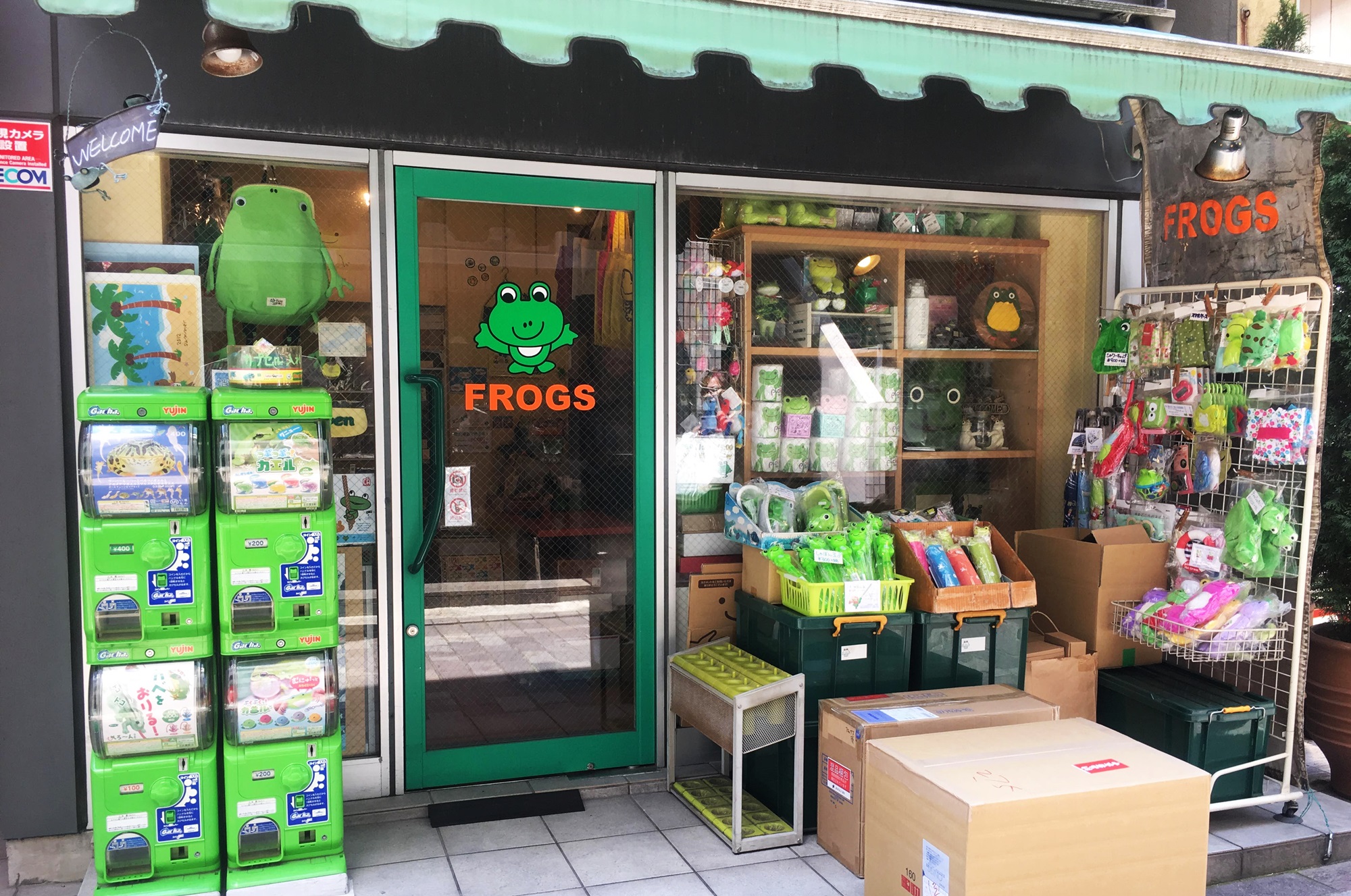 自由之丘frogs青蛙雜貨店