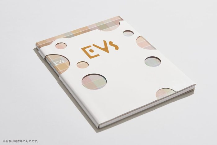 書籍「EVs」