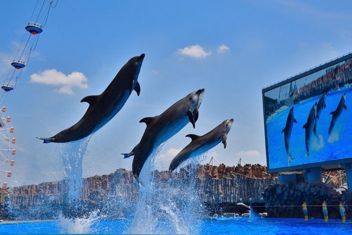 名古屋港水族館戶外