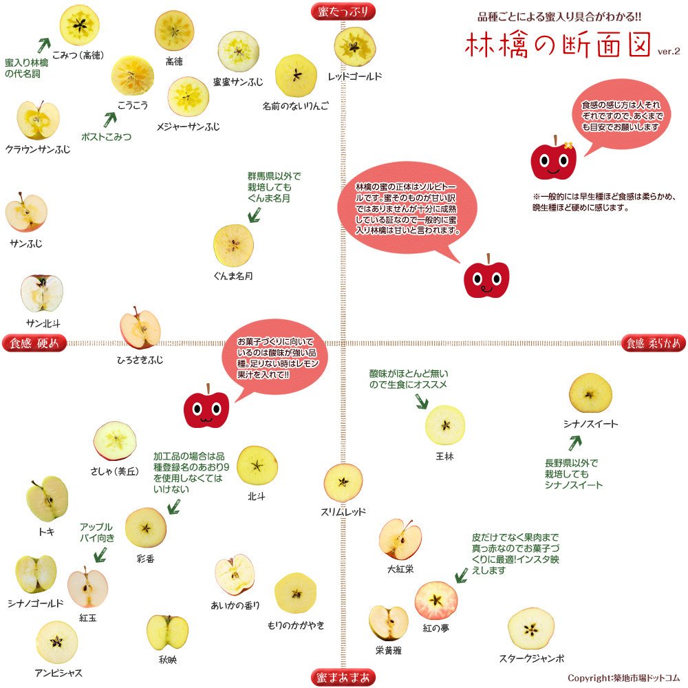 蘋果剖面圖