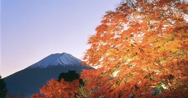 賞楓去 富士山追逐紅葉之旅三選 Japaholic