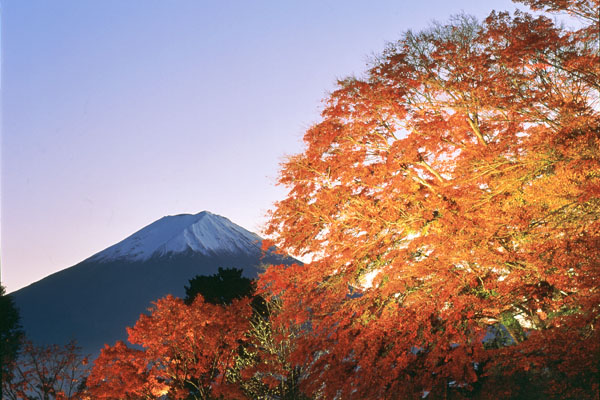 赏枫去 富士山追逐红叶之旅三选 Japaholic Cn