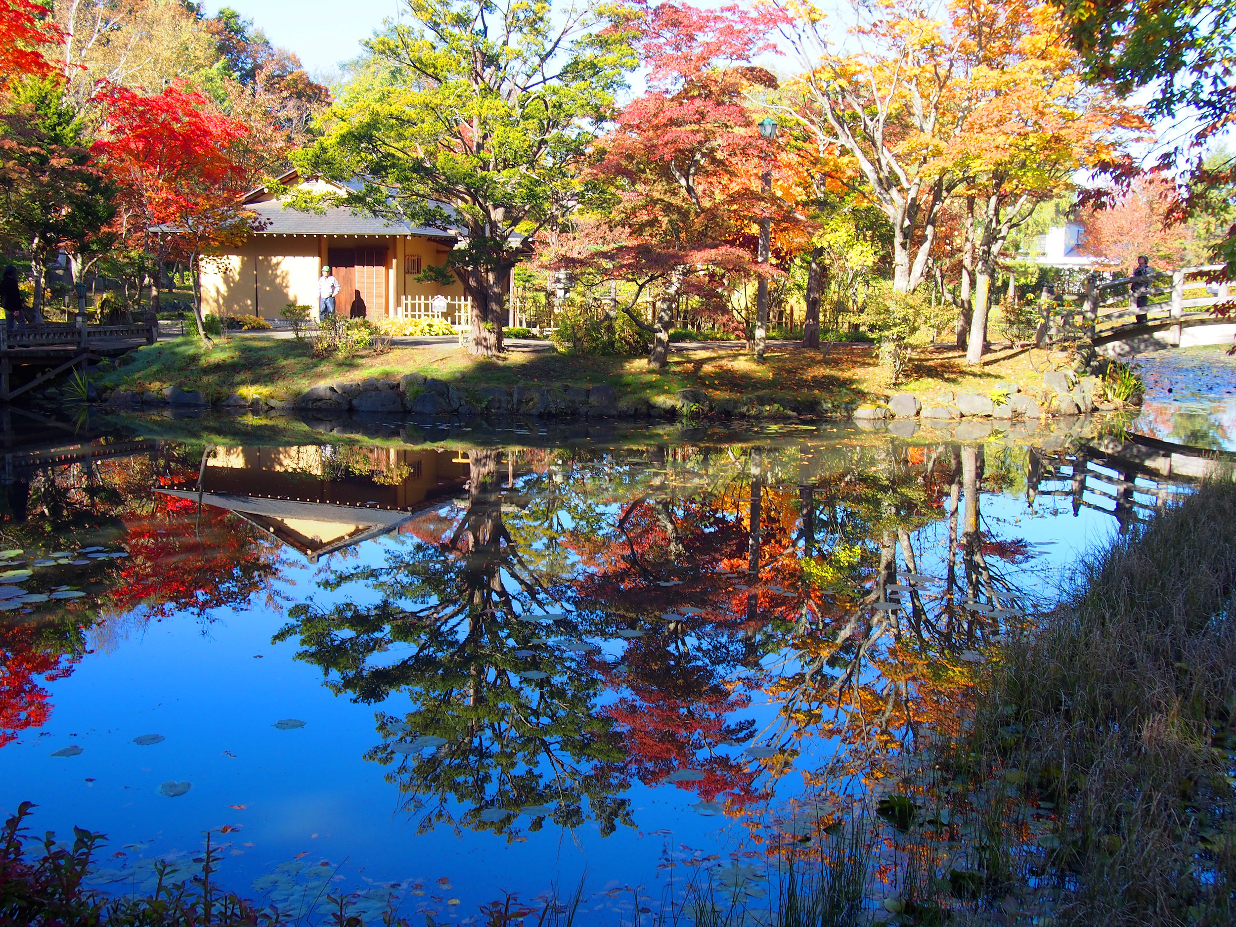 玉泉館古蹟公園水湖照