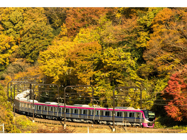 高尾山賞楓季!搭上加開臨時增班的對號座位列車出發吧