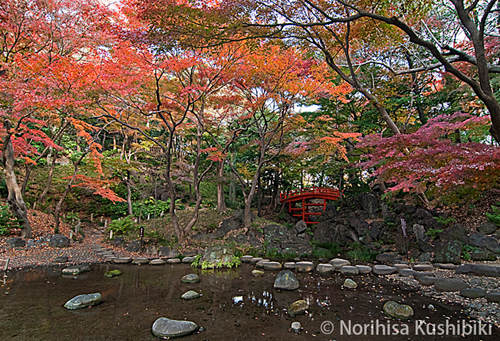 小石川後樂園