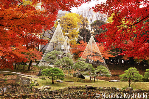 小石川後樂園