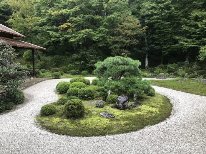 京都賞楓一日散策散步路線曼殊院庭園夏景