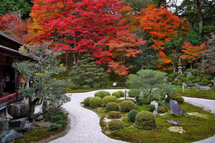 京都賞楓一日散策散步路線曼殊院庭園秋景