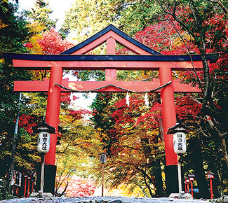 日本賞楓懶人包 關西攻略紅葉景點選京都 大阪 奈良 神戶 金澤 三重 Japaholic