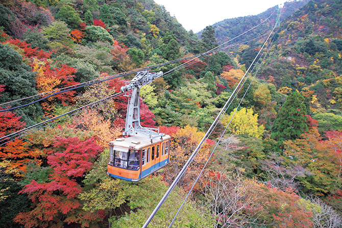 關西攻略紅葉景點20選_六甲山六甲有馬纜車