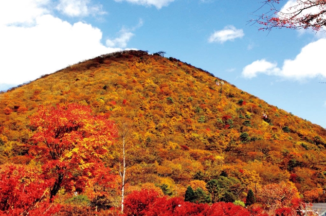 日本賞楓懶人包 關東攻略紅葉景點選東京 埼玉 千葉 神奈川 群馬 茨城 栃木 Japaholic