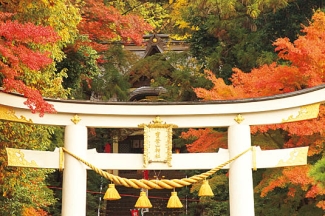 2018关东赏枫懒人包宝登山神社