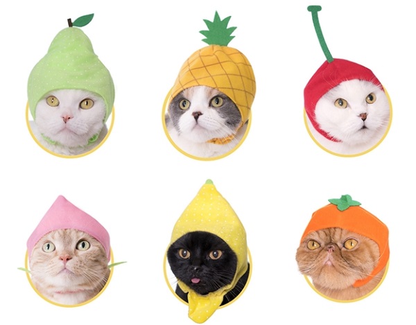 水果系列帽