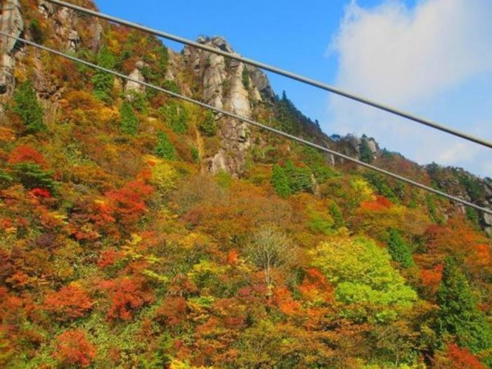 关西攻略红叶景点20选_御在所岳
