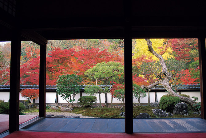 關西攻略紅葉景點20選_奈良正曆寺