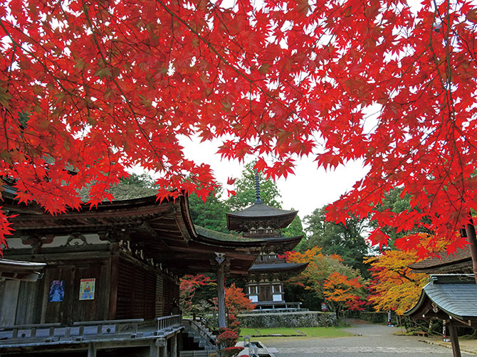 关西攻略红叶景点20选_湖东三山西明寺