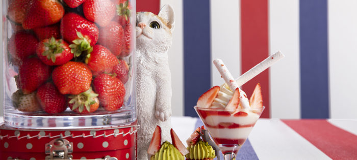 东京希尔顿猫咪主题草莓甜点吃到饱偷看的猫咪