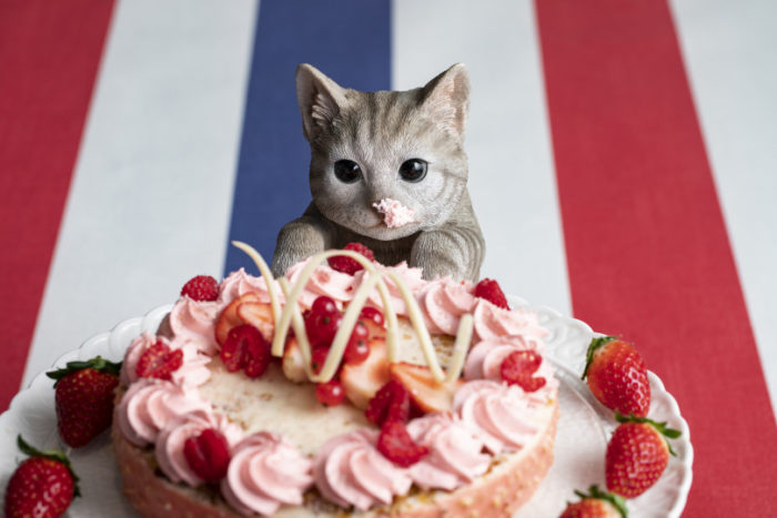 貓咪偷吃草莓蒙特麗馬爾