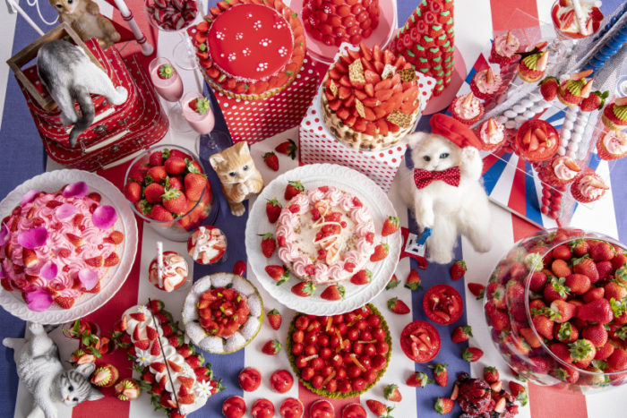 东京希尔顿猫咪主题草莓甜点吃到饱上方全系列照