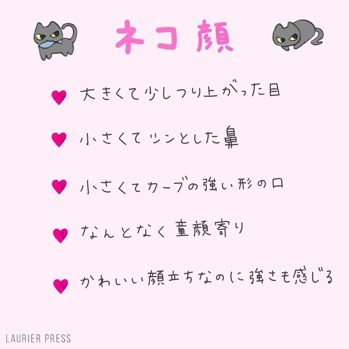 貓系臉的特徵